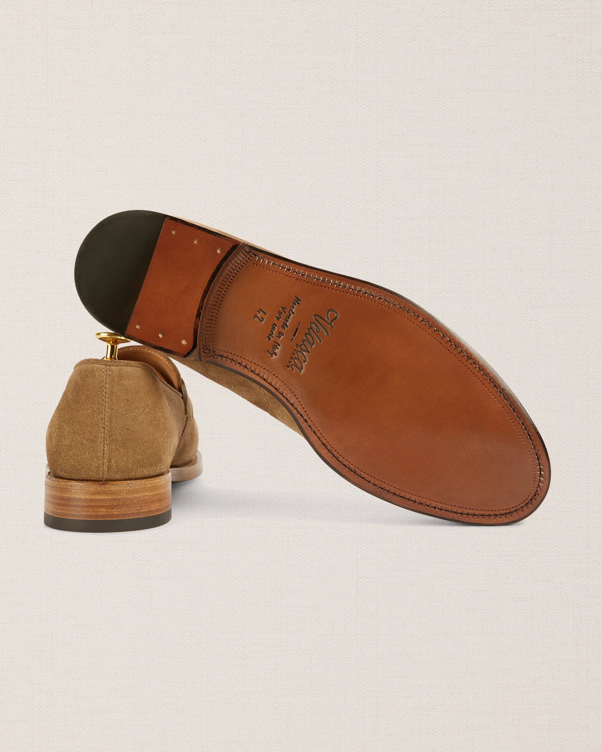 Daziee - Image 6