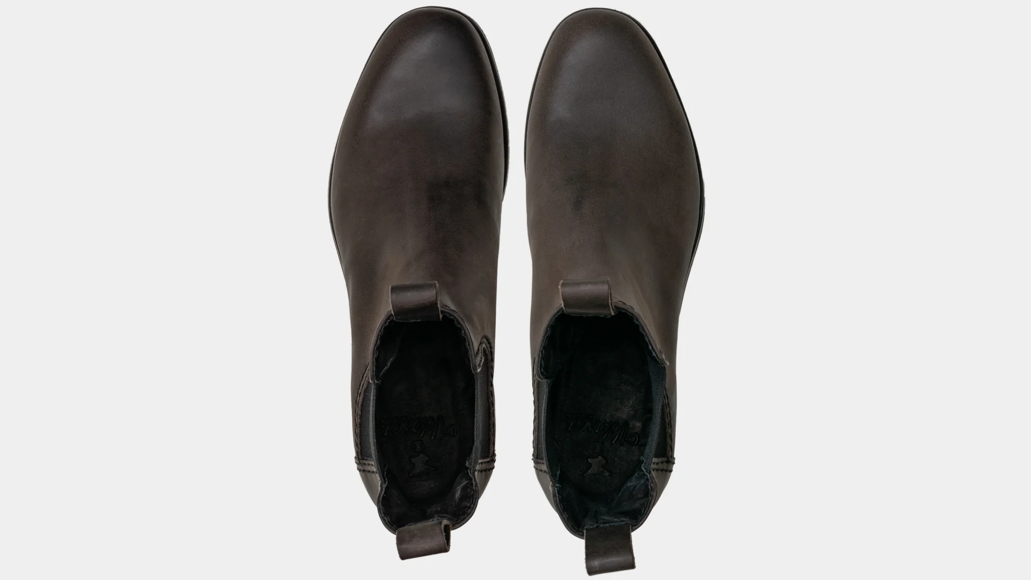 Scout - Image 4