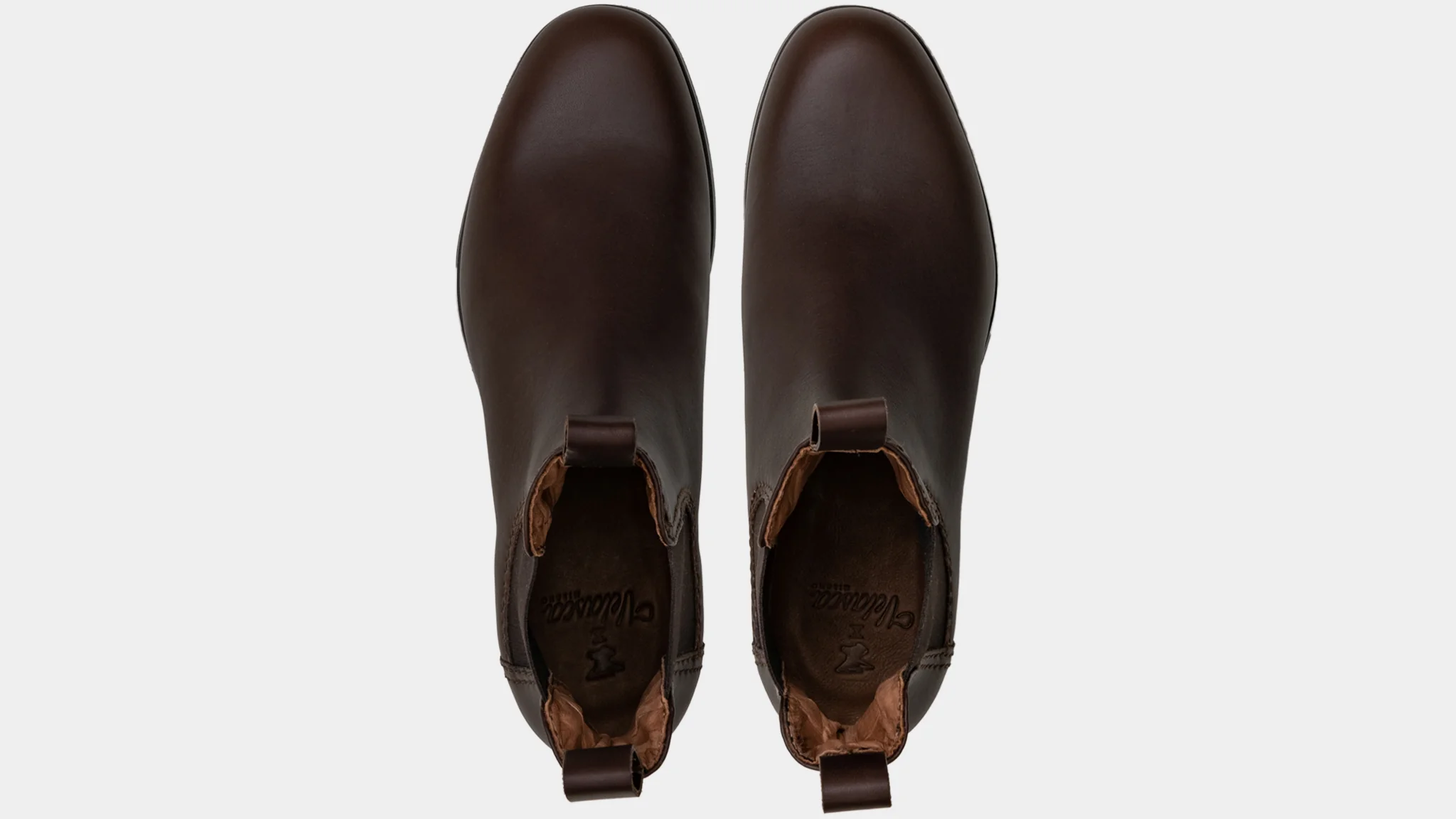 Scout - Image 4