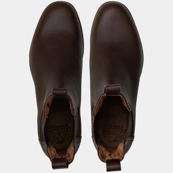 Scout - Image 6
